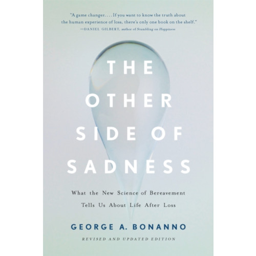 Basic Books The Other Side of Sadness (Revised) (häftad, eng)