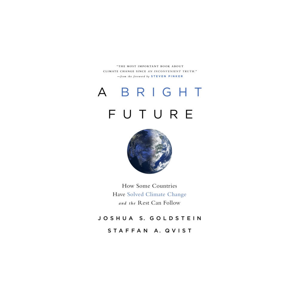 Produktbild för A Bright Future (häftad, eng)