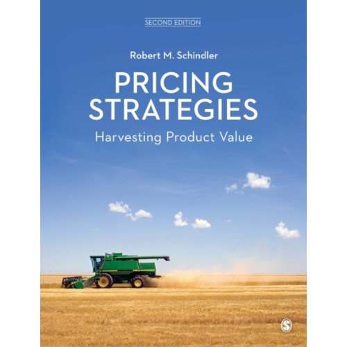 Sage Publications Ltd Pricing Strategies (häftad, eng)