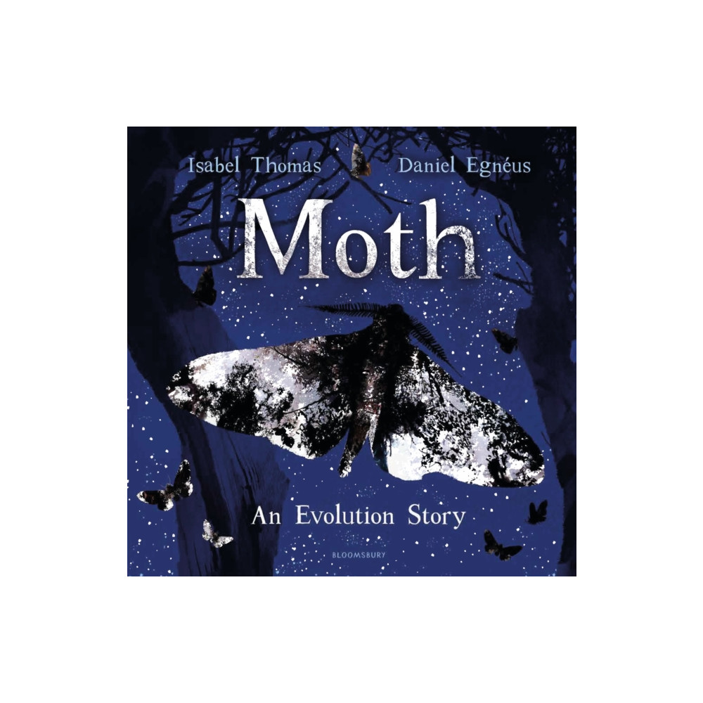 Produktbild för Moth (häftad, eng)