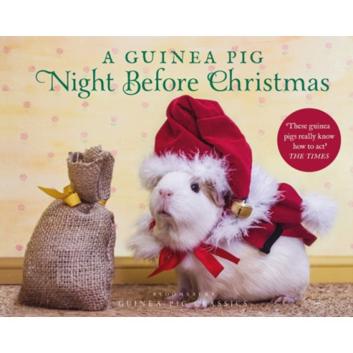 Bloomsbury Publishing PLC A Guinea Pig Night Before Christmas (inbunden, eng)