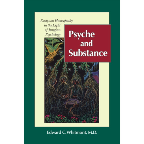 North Atlantic Books,U.S. Psyche and Substance (häftad, eng)