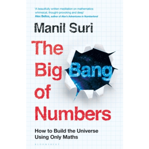 Bloomsbury Publishing PLC The Big Bang of Numbers (häftad, eng)