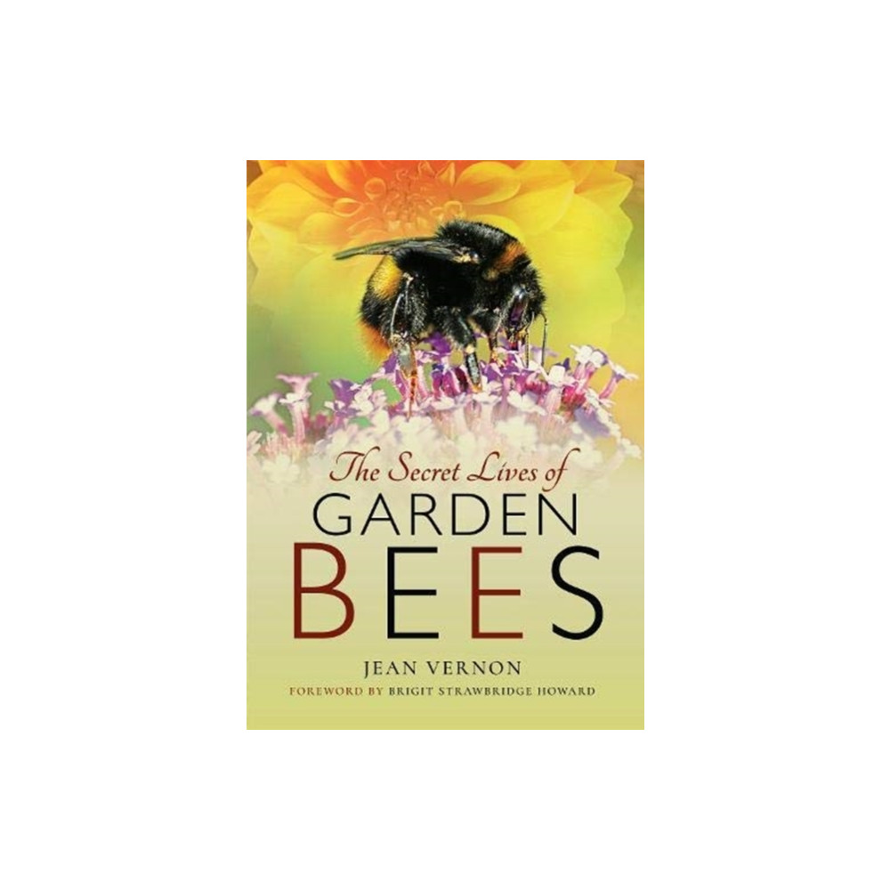 Produktbild för The Secret Lives of Garden Bees (häftad, eng)