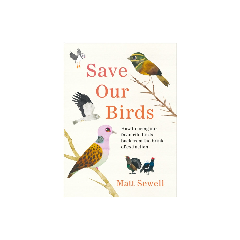 Produktbild för Save Our Birds (inbunden, eng)