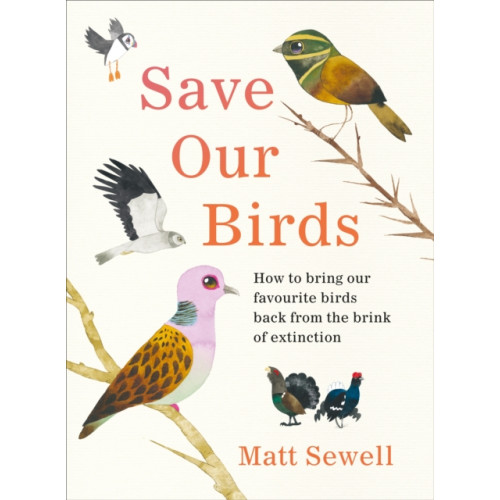Ebury Publishing Save Our Birds (inbunden, eng)