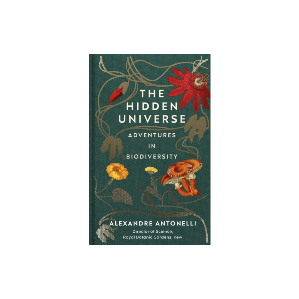 Produktbild för The Hidden Universe (inbunden, eng)