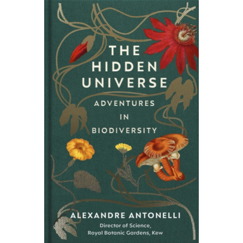 Ebury Publishing The Hidden Universe (inbunden, eng)