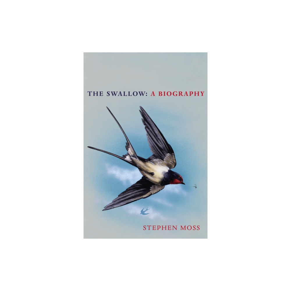 Produktbild för The Swallow (inbunden, eng)