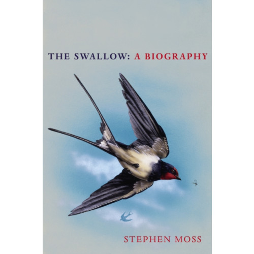 Vintage Publishing The Swallow (inbunden, eng)
