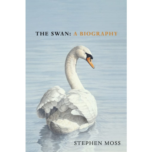 Vintage Publishing The Swan (inbunden, eng)