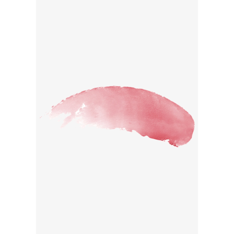 Produktbild för Tinted Lip Balm Hibiscus