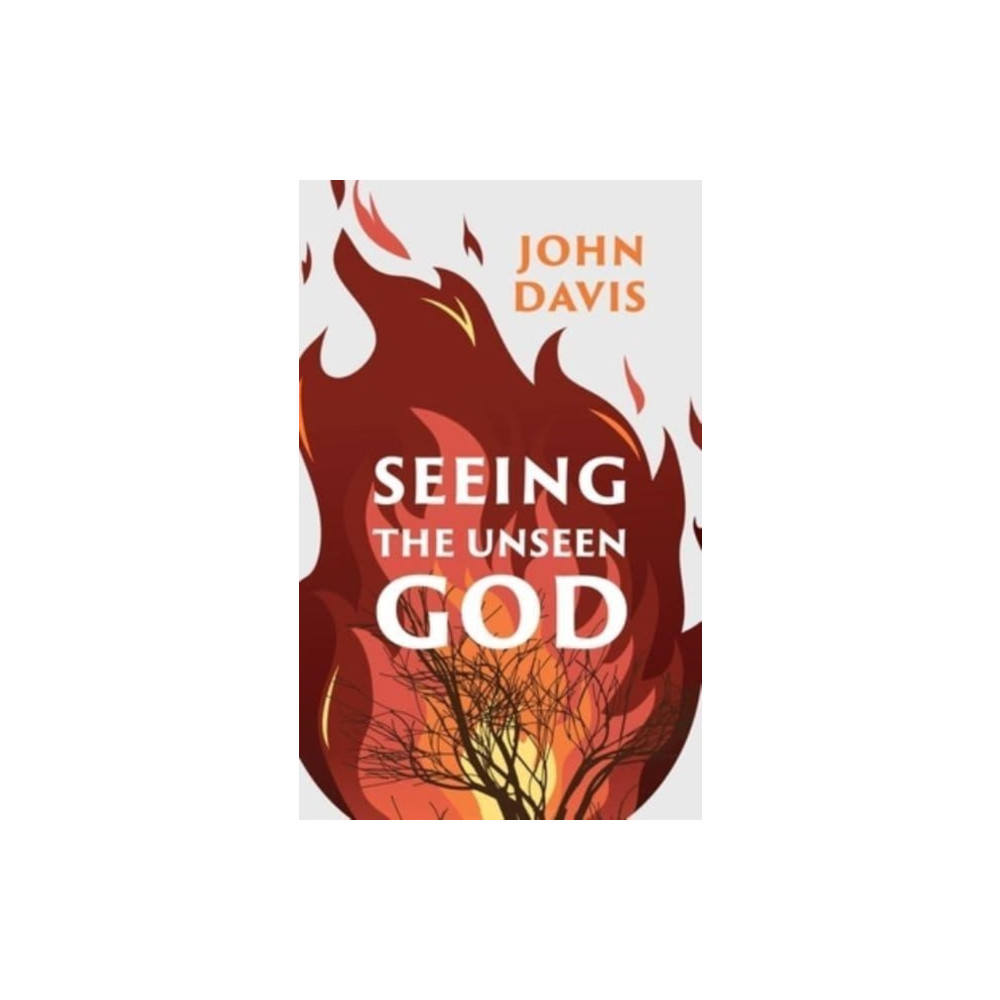 Produktbild för Seeing the Unseen God (häftad, eng)
