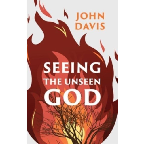 Christian Focus Publications Ltd Seeing the Unseen God (häftad, eng)