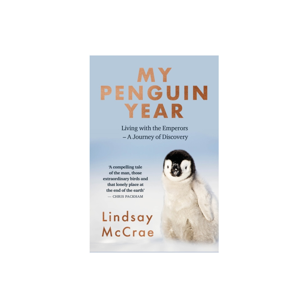 Produktbild för My Penguin Year (häftad, eng)