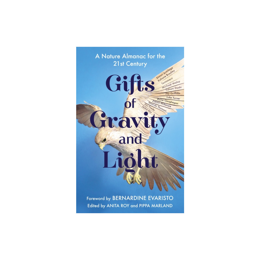 Produktbild för Gifts of Gravity and Light (häftad, eng)