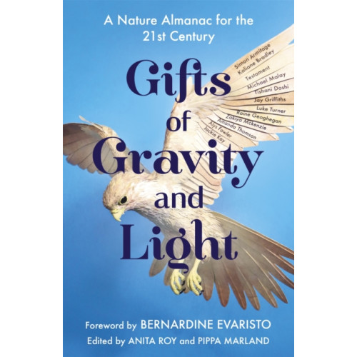 Hodder & Stoughton Gifts of Gravity and Light (häftad, eng)
