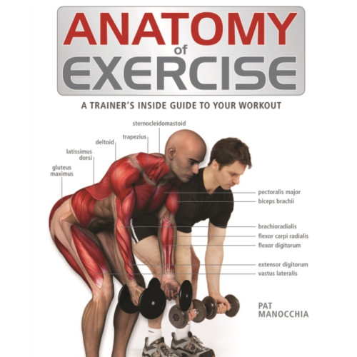 Firefly Books Ltd Anatomy of Exercise (häftad, eng)