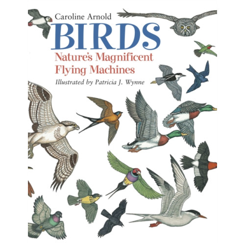 Charlesbridge Publishing,U.S. Birds (häftad, eng)