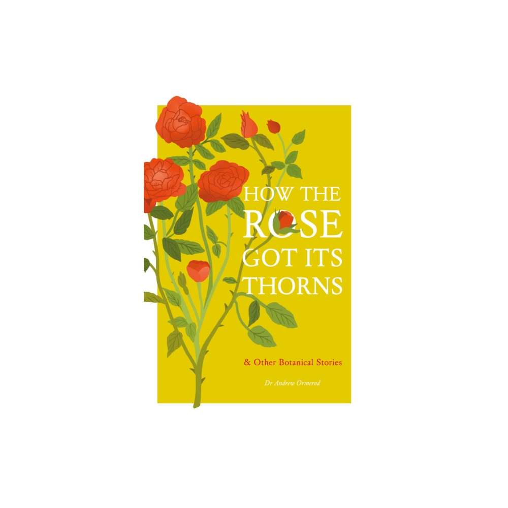 Produktbild för How the Rose Got Its Thorns (inbunden, eng)