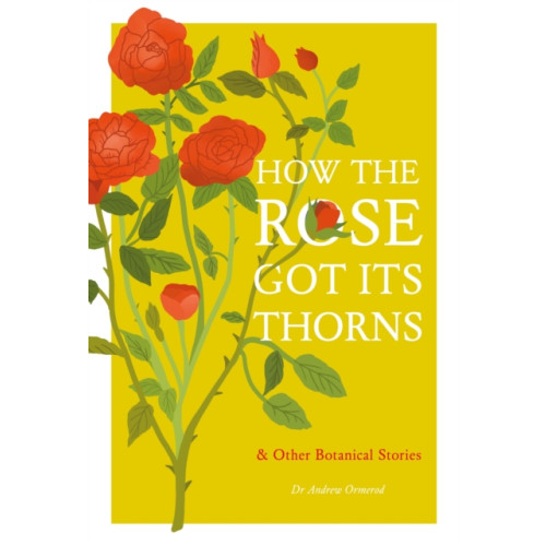 Quercus Publishing How the Rose Got Its Thorns (inbunden, eng)