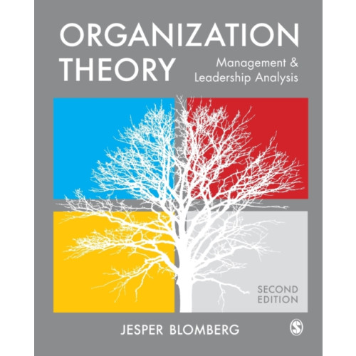 Sage Publications Ltd Organization Theory (häftad, eng)