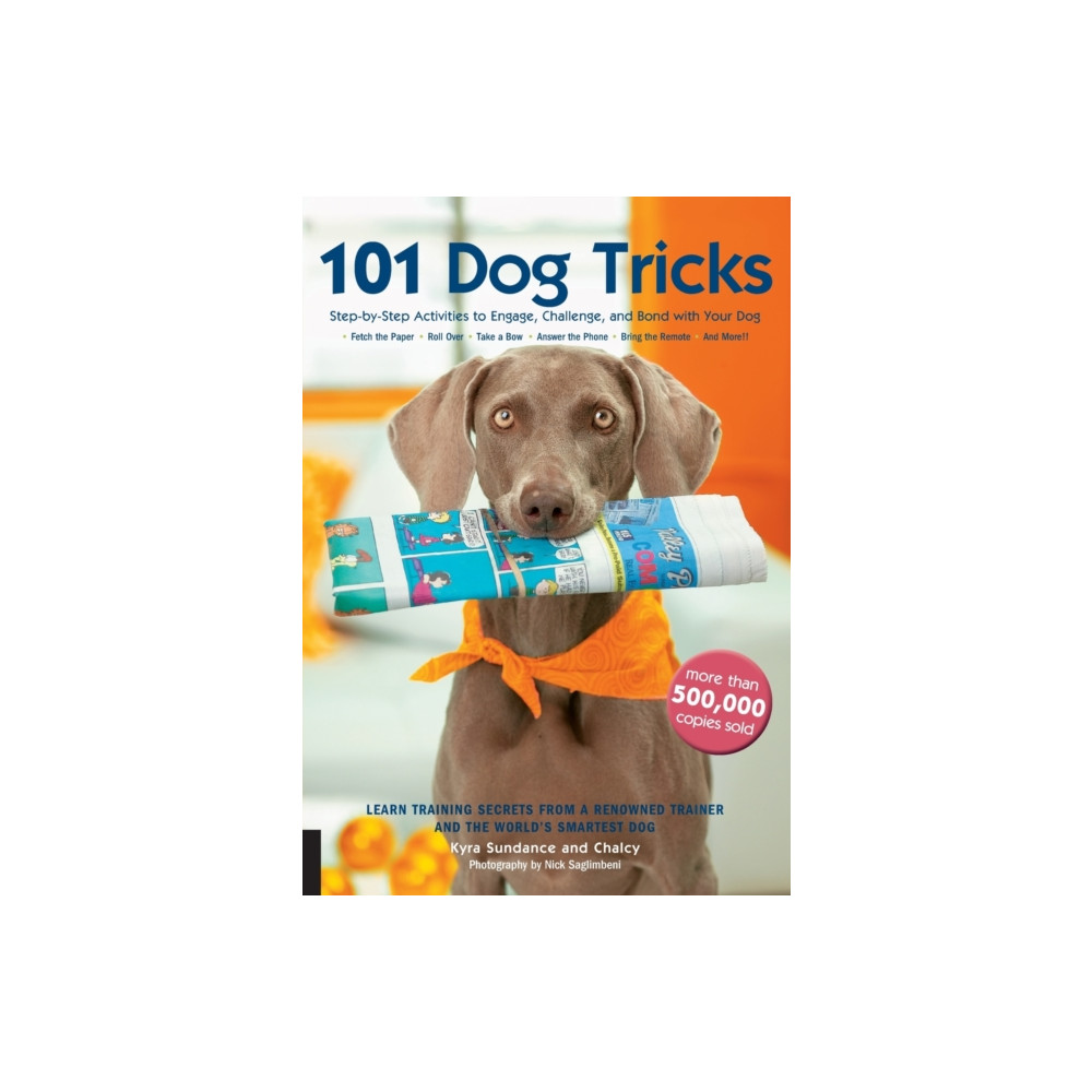 Produktbild för 101 Dog Tricks (häftad, eng)