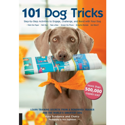 Quarto Publishing Group USA Inc 101 Dog Tricks (häftad, eng)