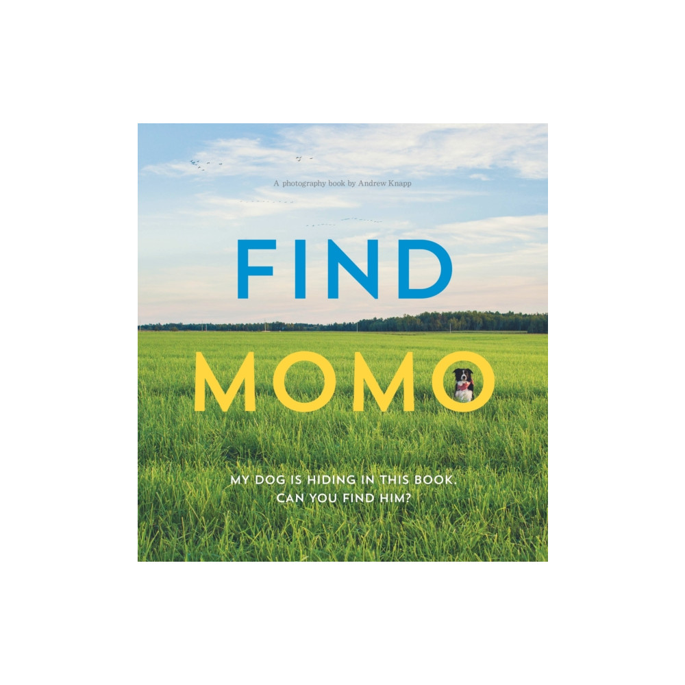 Produktbild för Find Momo (häftad, eng)
