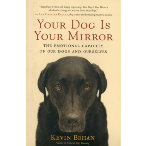 New World Library Your Dog is Your Mirror (häftad, eng)