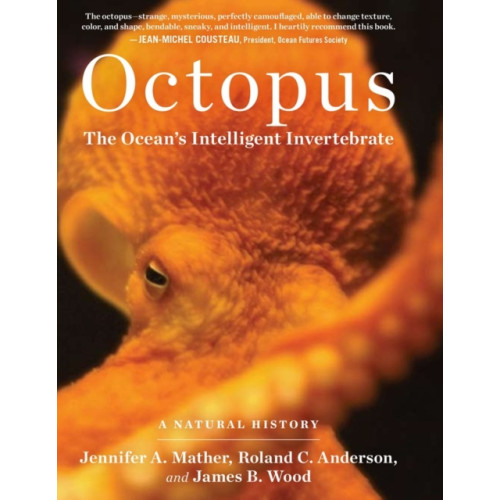 Workman Publishing Octopus (inbunden, eng)