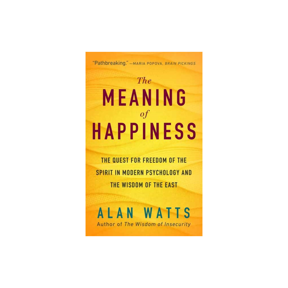 Produktbild för The Meaning of Happiness (häftad, eng)