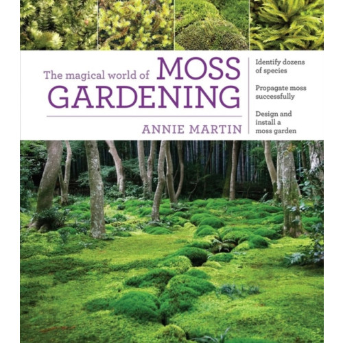 Workman Publishing The Magical World of Moss Gardening (häftad, eng)