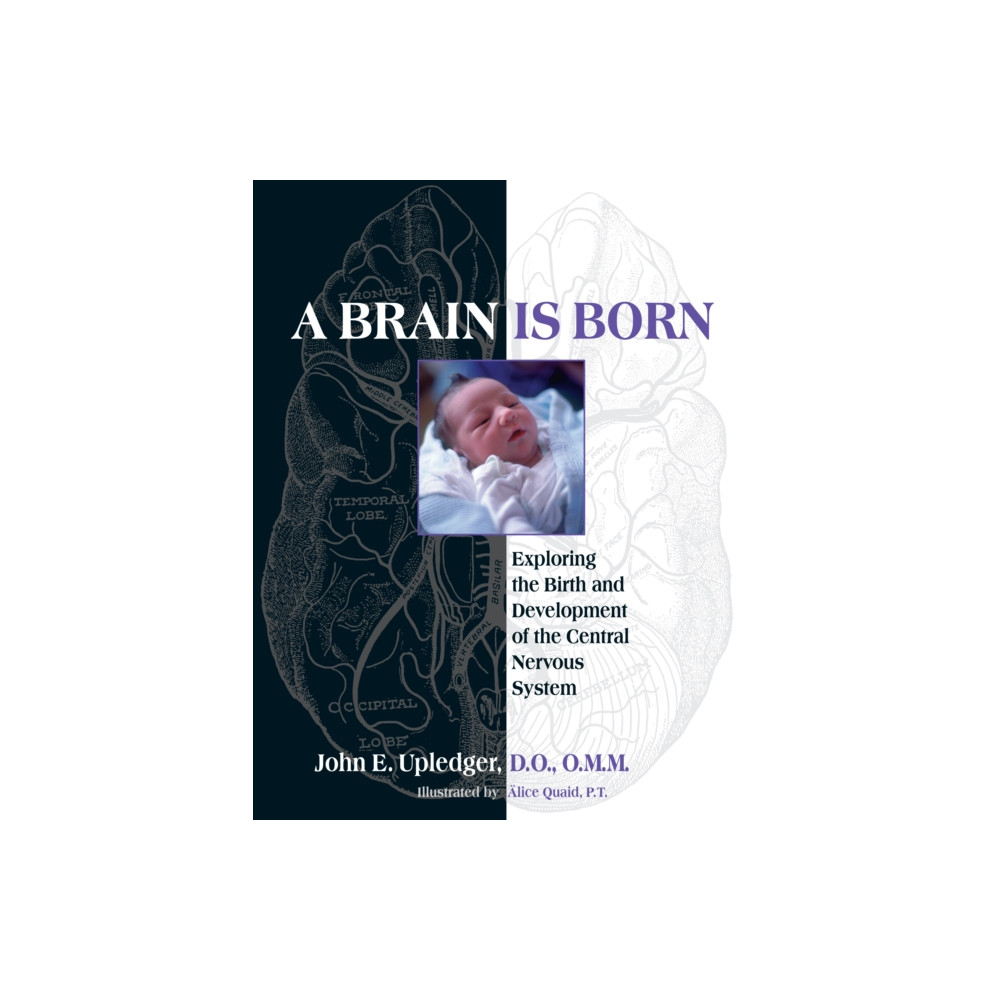 Produktbild för A Brain Is Born (häftad, eng)