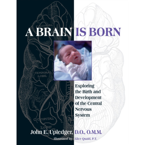 North Atlantic Books,U.S. A Brain Is Born (häftad, eng)