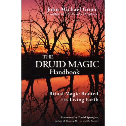 Red Wheel/Weiser Druid Magic Handbook (häftad, eng)