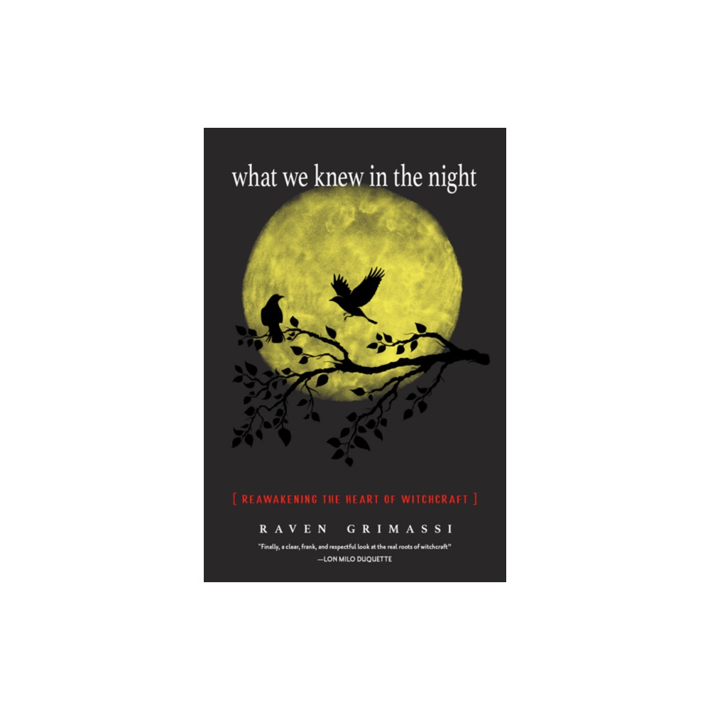 Produktbild för What We Knew in the Night (häftad, eng)