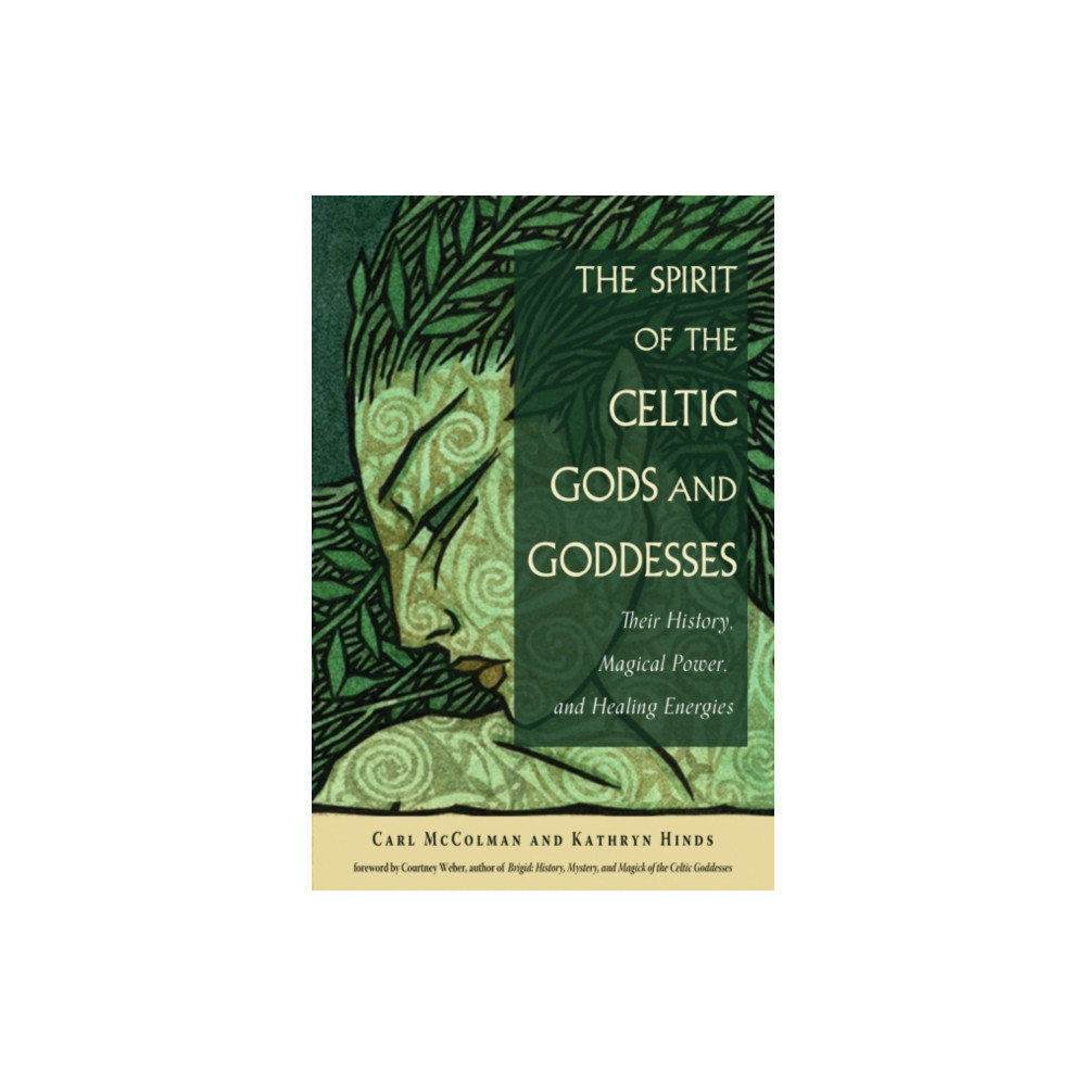 Produktbild för The Spirit of the Celtic Gods and Goddesses (häftad, eng)