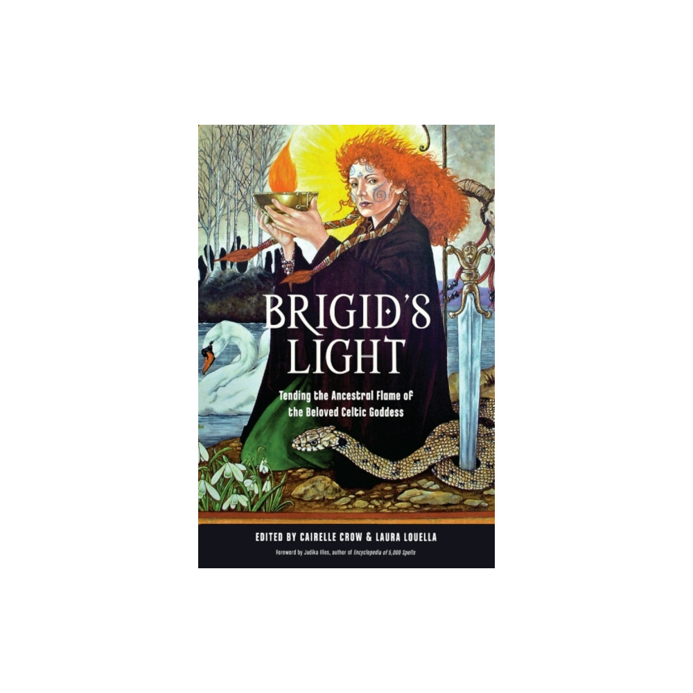 Produktbild för Brigid's Light (häftad, eng)