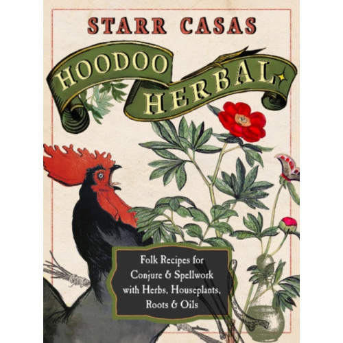 Red Wheel/Weiser Hoodoo Herbal (häftad, eng)