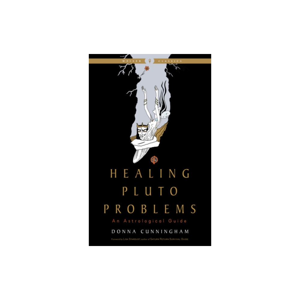 Produktbild för Healing Pluto Problems (häftad, eng)