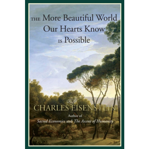 North Atlantic Books,U.S. The More Beautiful World Our Hearts Know Is Possible (häftad, eng)