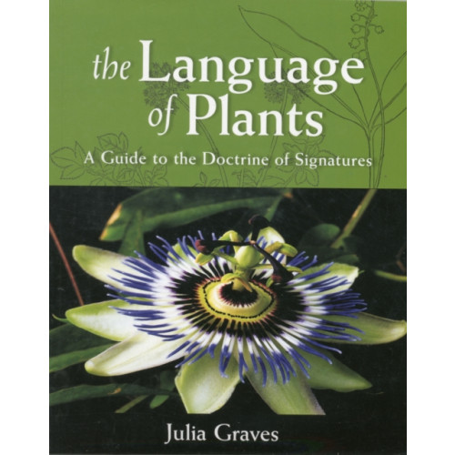 SteinerBooks, Inc The Language of Plants (häftad, eng)