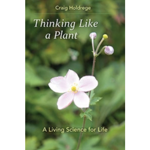 SteinerBooks, Inc Thinking Like a Plant (häftad, eng)