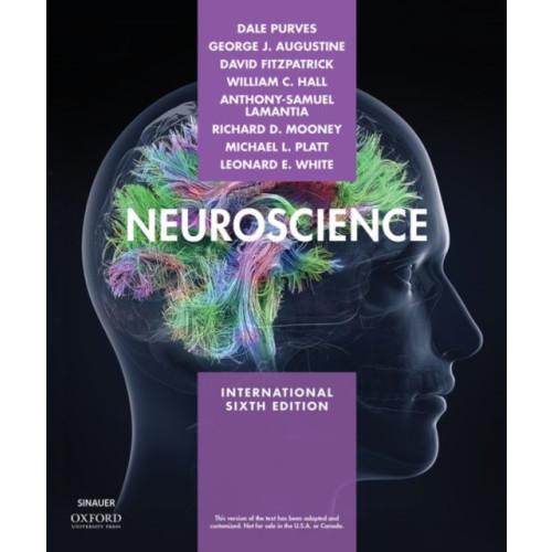 Oxford University Press Inc Neuroscience (häftad, eng)