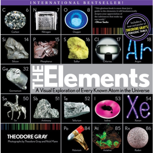 Black Dog & Leventhal Publishers Inc The Elements (häftad, eng)