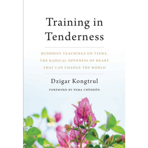 Shambhala Publications Inc Training in Tenderness (häftad, eng)