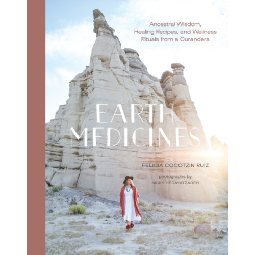 Shambhala Publications Inc Earth Medicines (inbunden, eng)