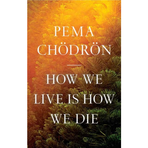 Shambhala Publications Inc How We Live Is How We Die (inbunden, eng)