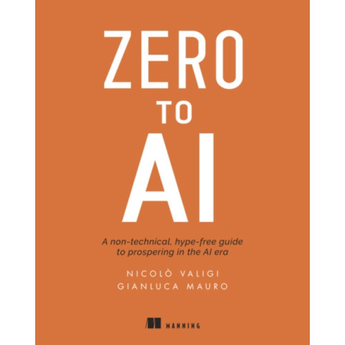 Manning Publications Zero to AI (häftad, eng)